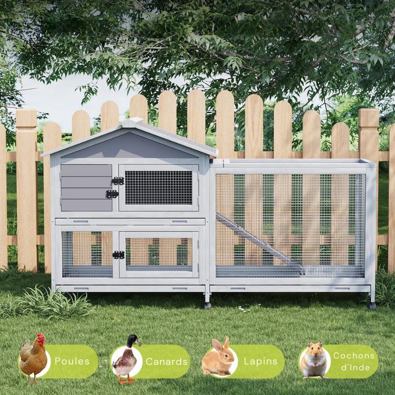 Cage à lapin extérieur en béton