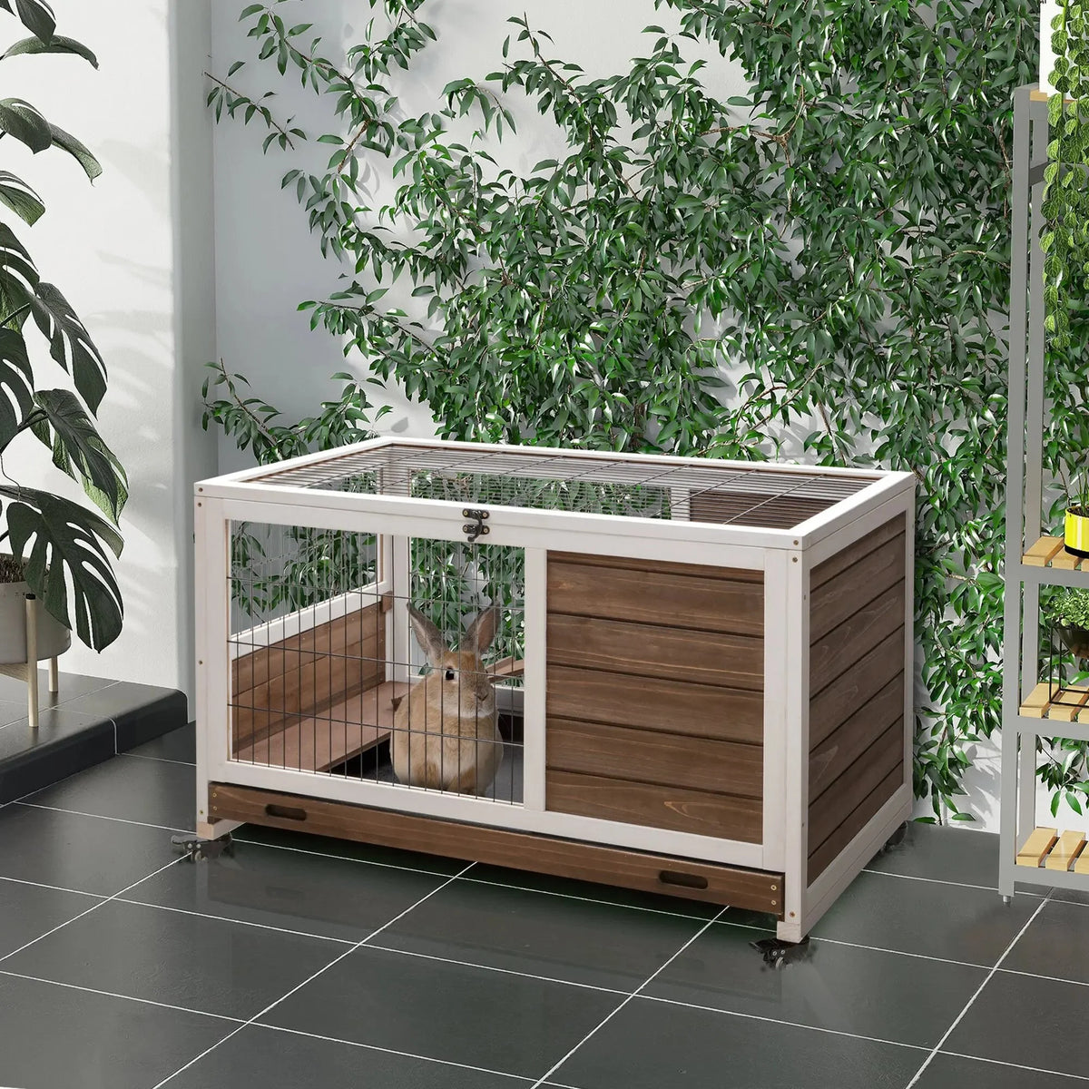 Cage à lapin nain intérieur